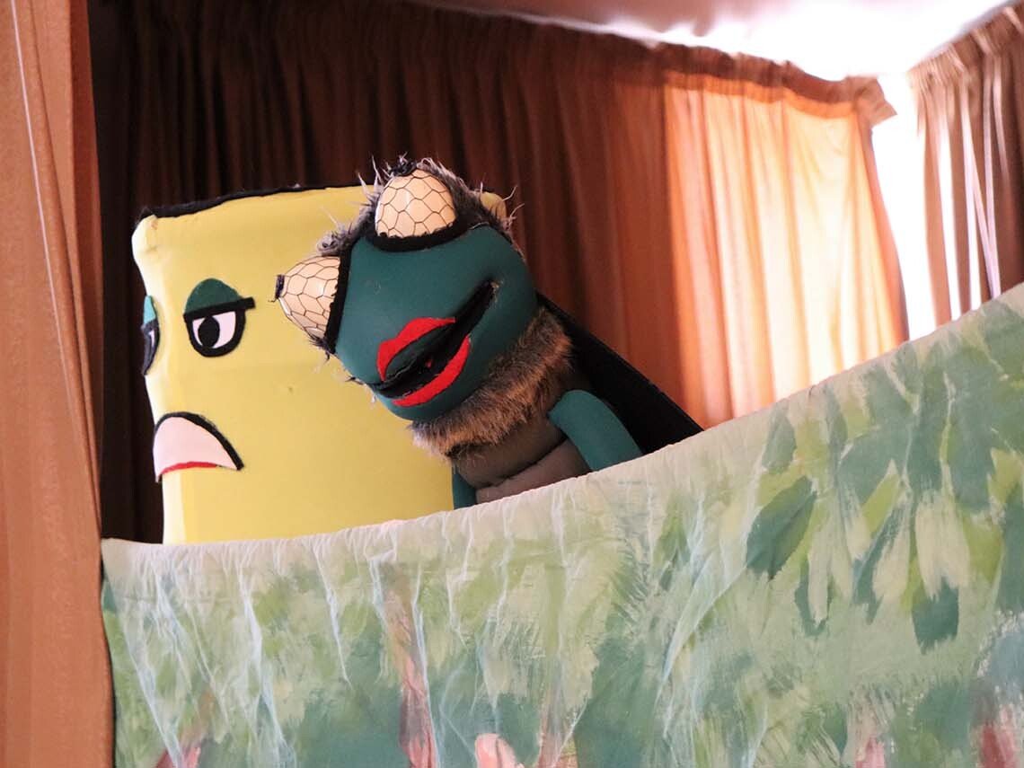 Child Protection Program