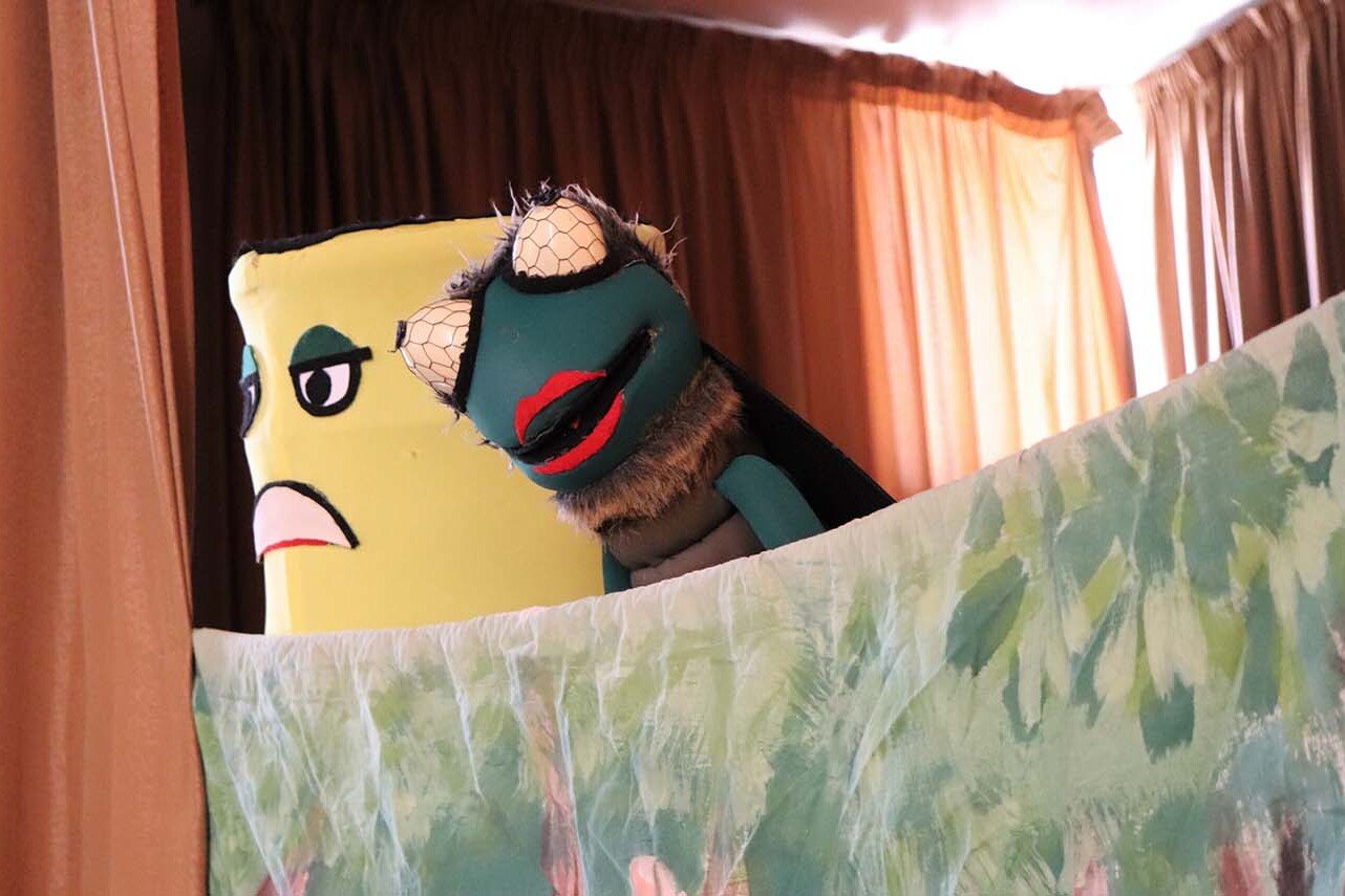 Child Protection Program